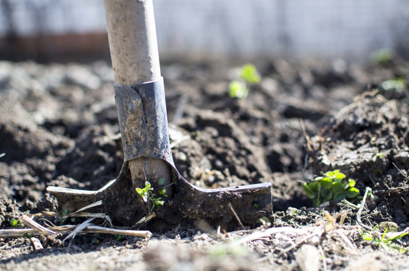 jardinerie-CAMPS LA SOURCE-min_equipment-2047314